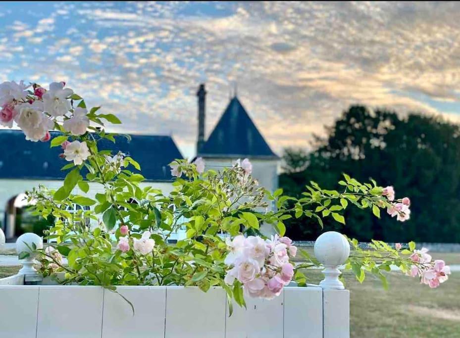 Charming Romantic Tower In Chateau Estate Ocquerre Exterior photo